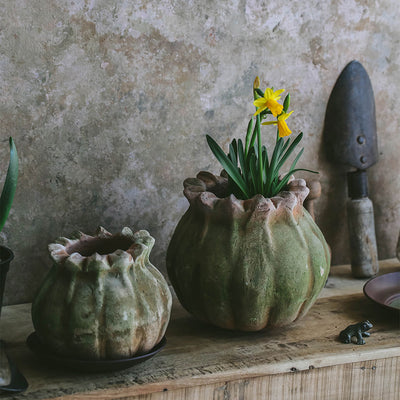 Mini Cast Bronze Plant Frog