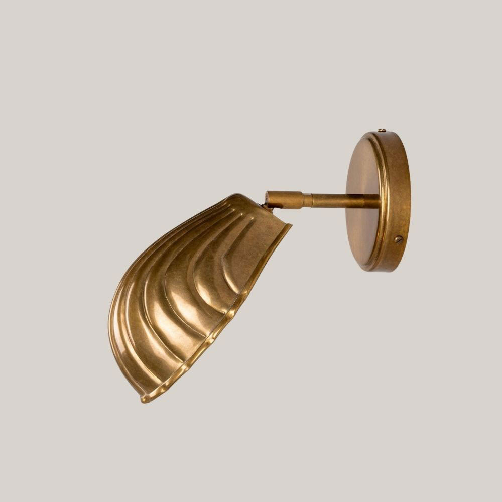 Shell Wall Sconce