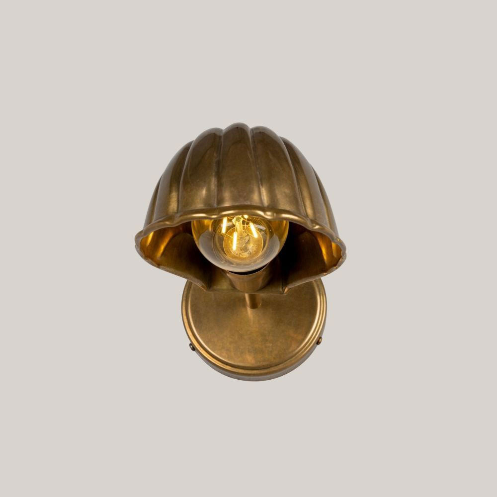 Shell Wall Sconce