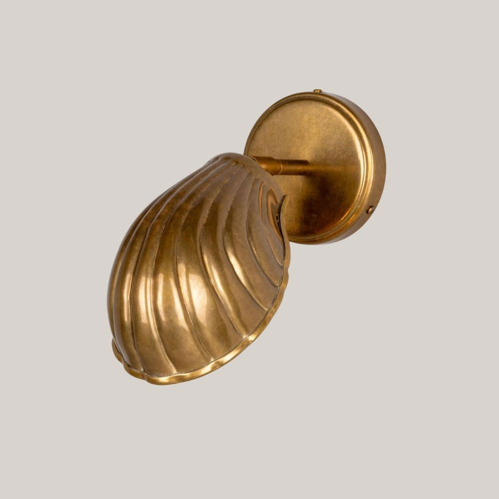 Shell Wall Sconce