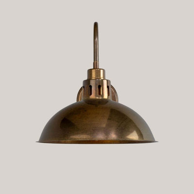 Lark Swan Neck Wall Sconce