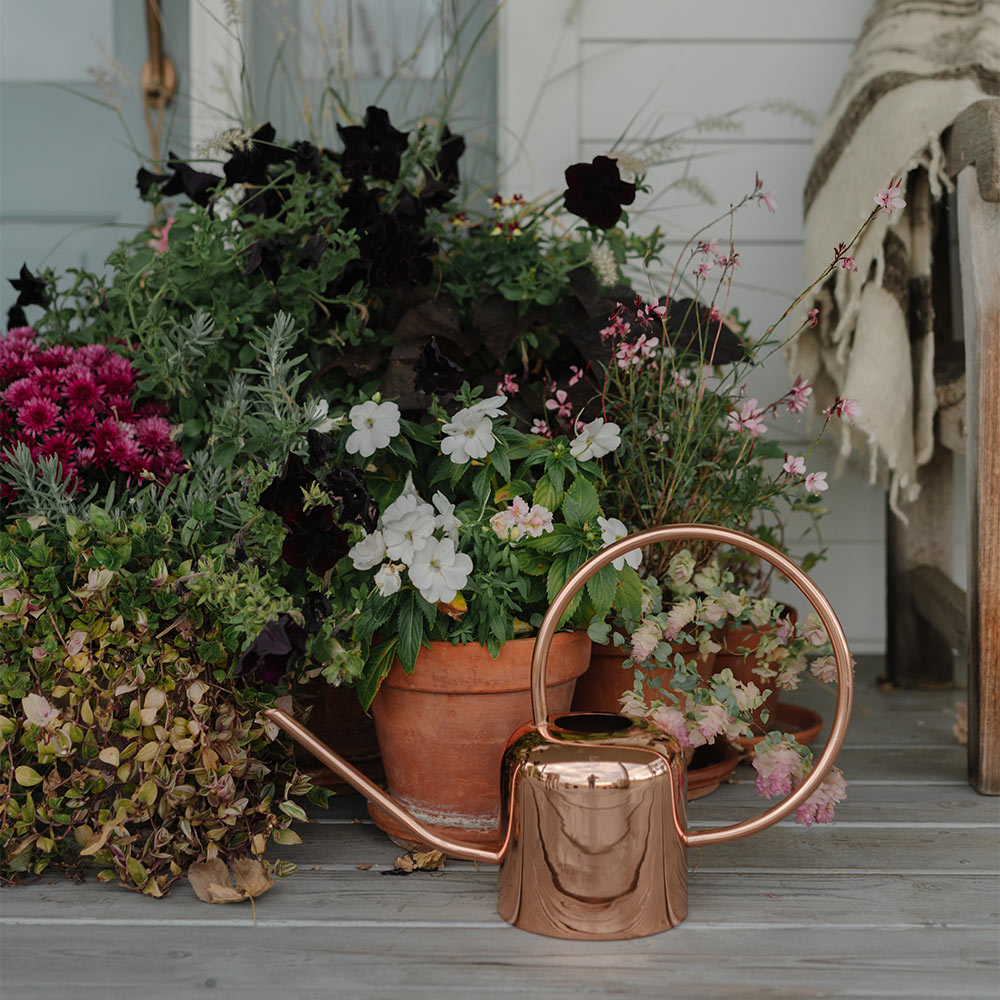 Copper Watering Can