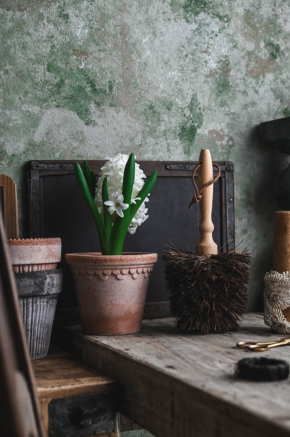 Flowerpot Planter Brush