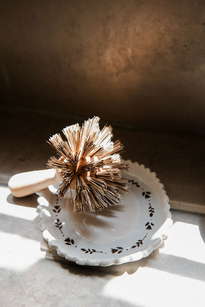 Everyday Pan Brush
