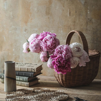Rattan Ripley Basket