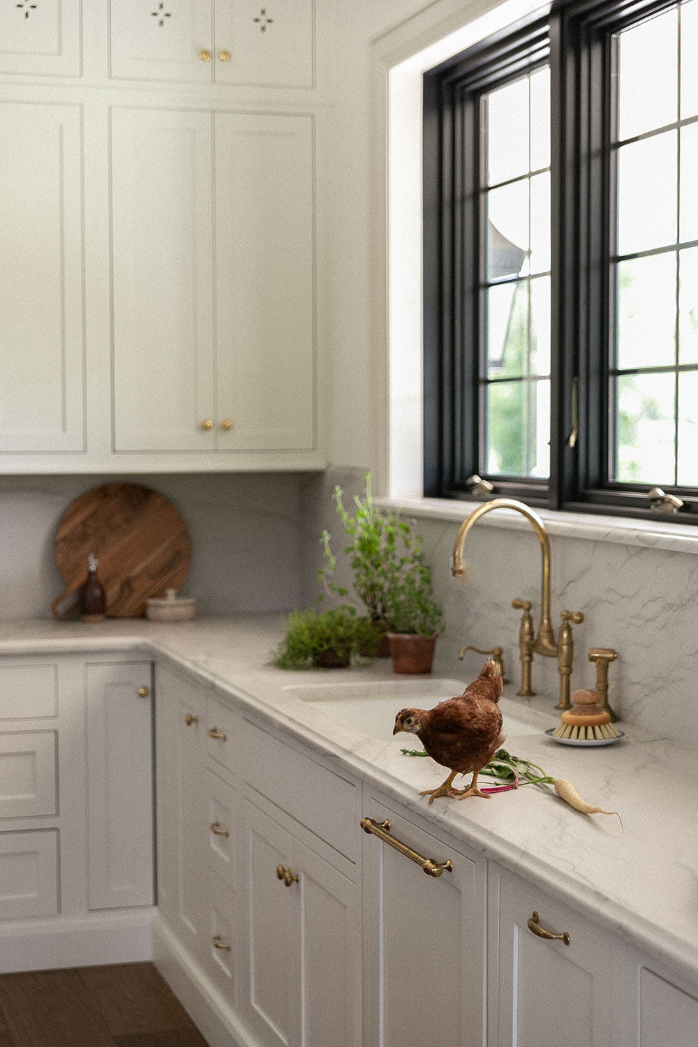 Pan & Scrub Brush with Knob