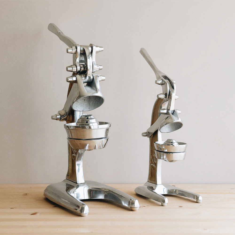 Standing Juicer