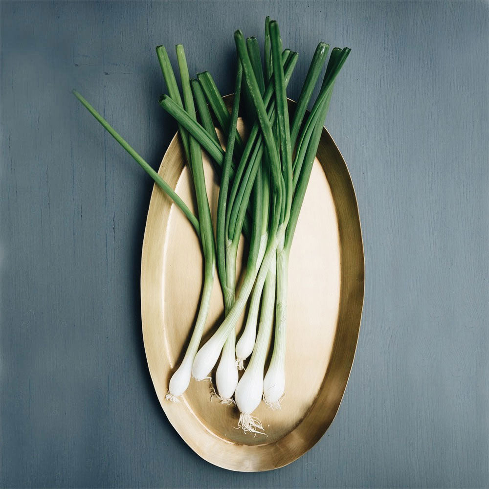 Oval Brass Tray - Medium