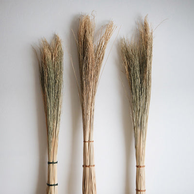 Broomcorn Cobwebber