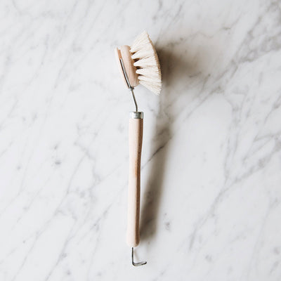 Everyday Dish Brush