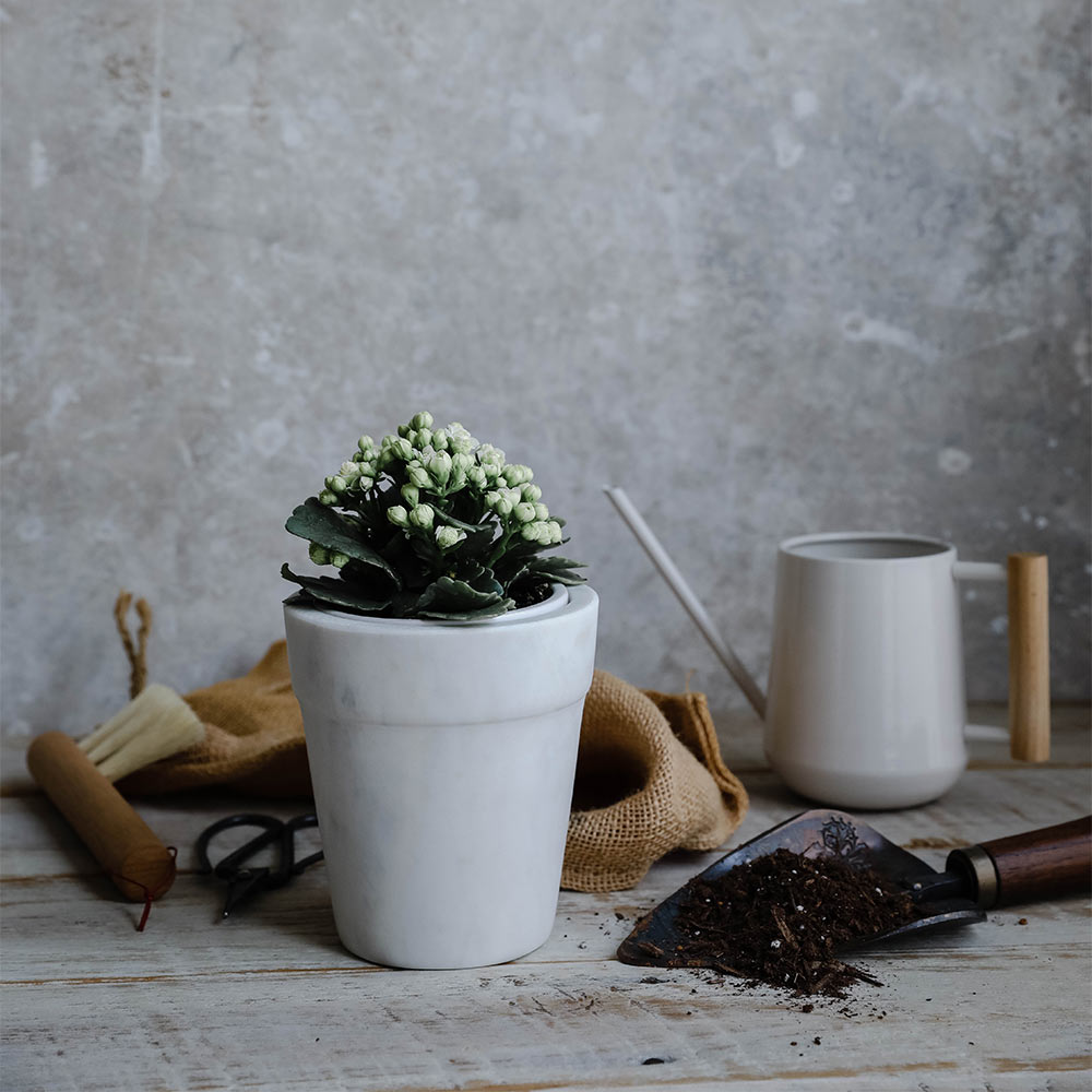 Marble Planter