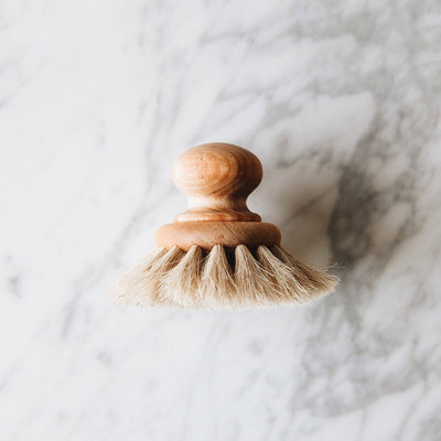 Round Everyday Dish Brush